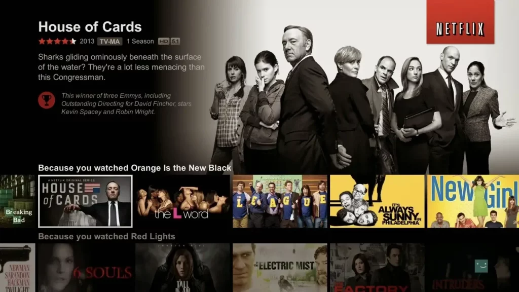 Picture of Netflix platform to show its user interface.